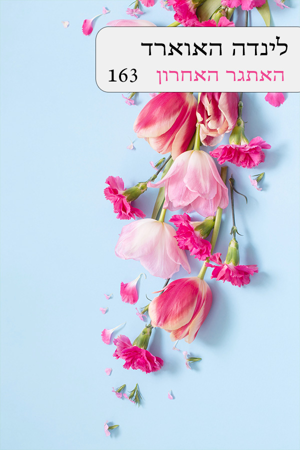 האתגר האחרון (163)